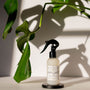 Hidden Youth - Room Spray