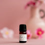 Pink Poppy - Diffuser Oil 