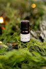 Fresh Cut Tree Farm - Diffuser Oil